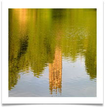 Church Reflection - Rob Sparkes